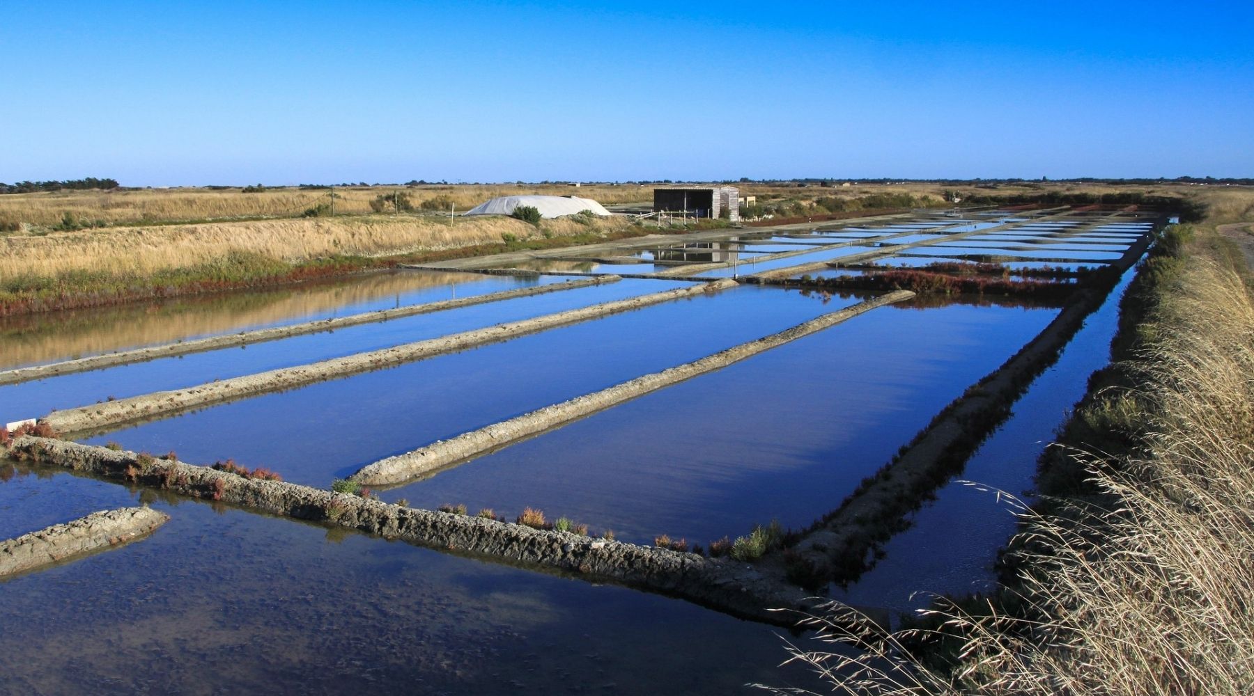 🧂 Artisans du Sel : fleur de sel et sel de Guérande IGP récoltés à la main