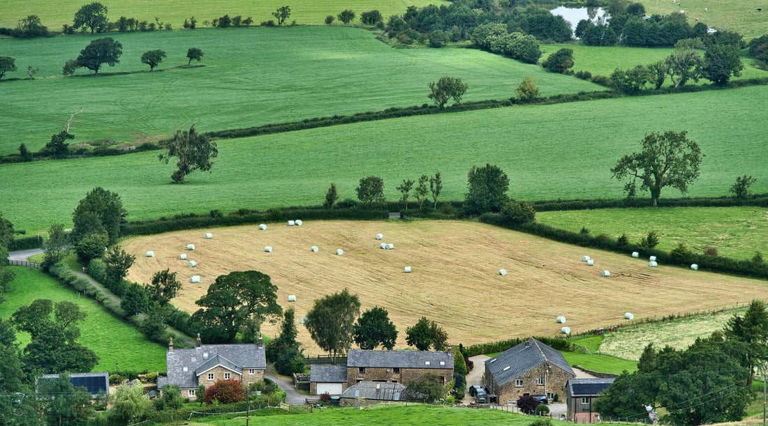 🇫🇷 Le terroir, un art de vivre à la française