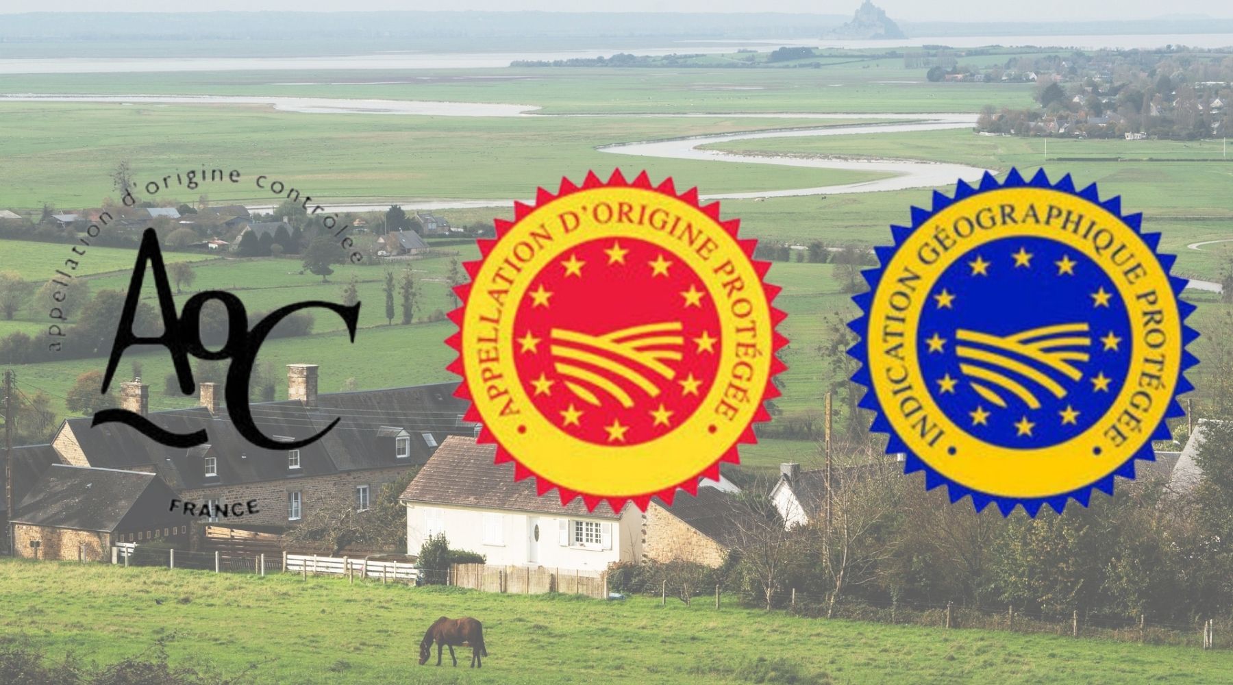 ✅ L’identité régionale des produits : AOP, AOC, IGP et le goût du lieu