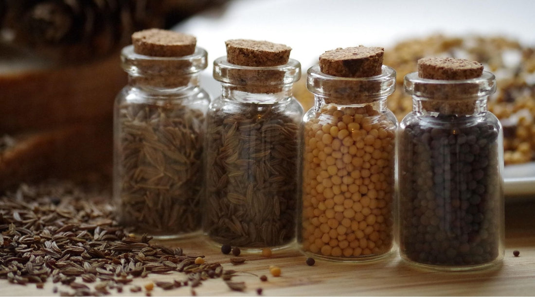 🌾 La moutarde française : Maison Fallot et le retour des graines cultivées en France