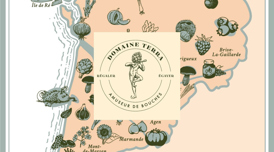 🫒 Domaine Terra : le terroir végétal du Sud-Ouest revisité pour l’apéritif
