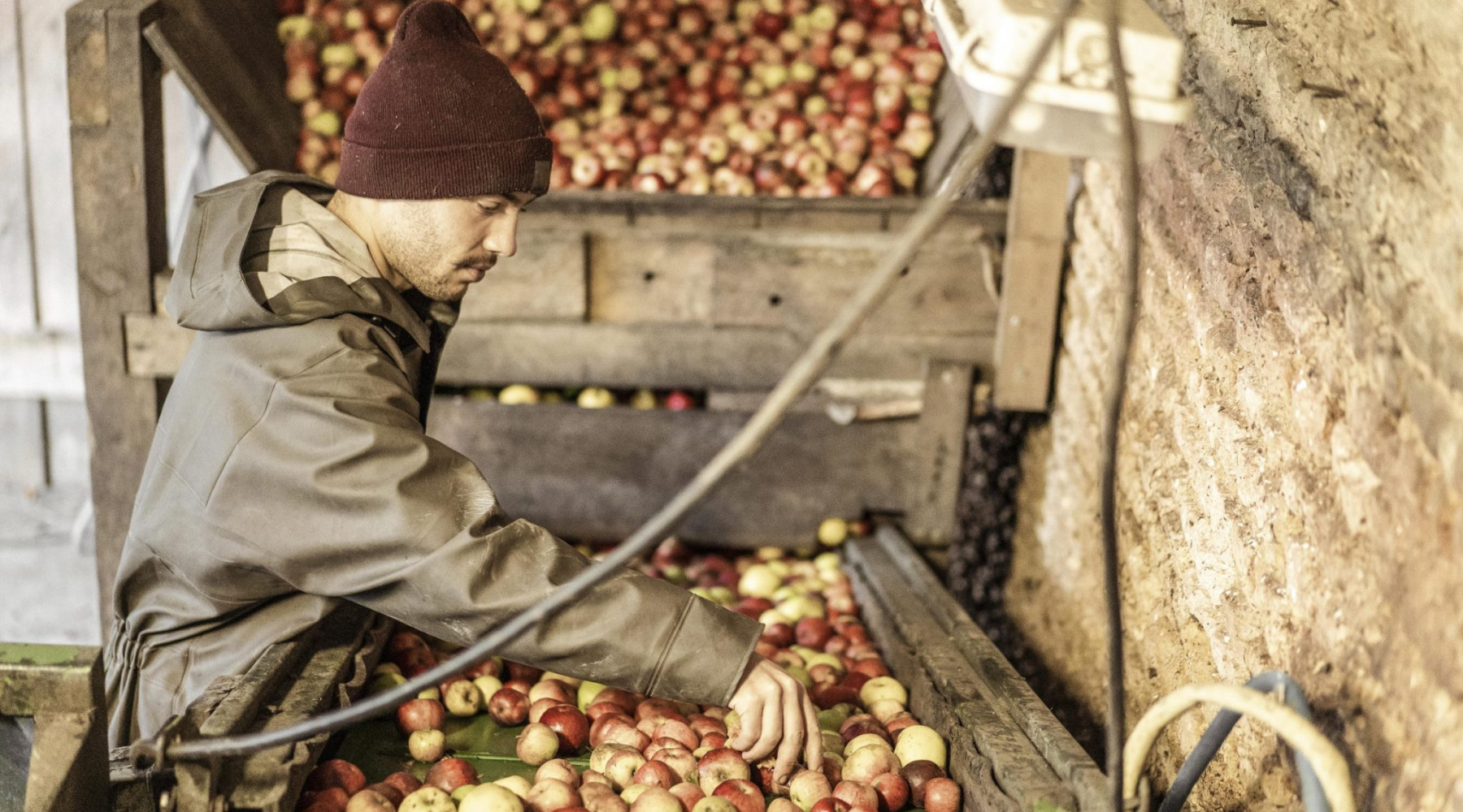 🍎 Cyprien Lireux : quand le cidre retrouve le goût du terroir