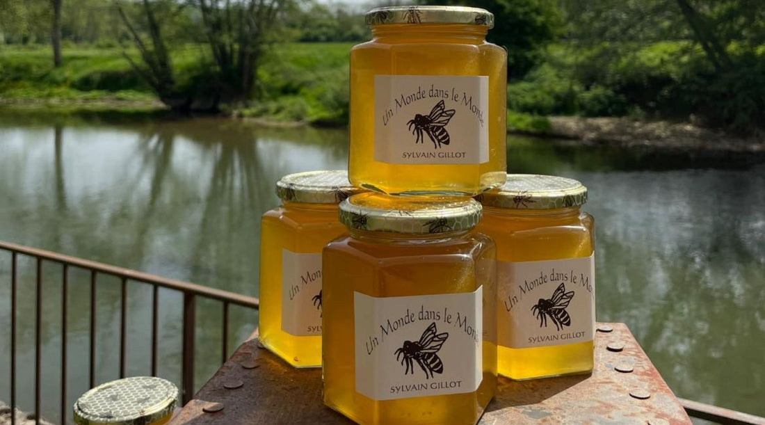 🍯 Savoir déguster un miel artisanal