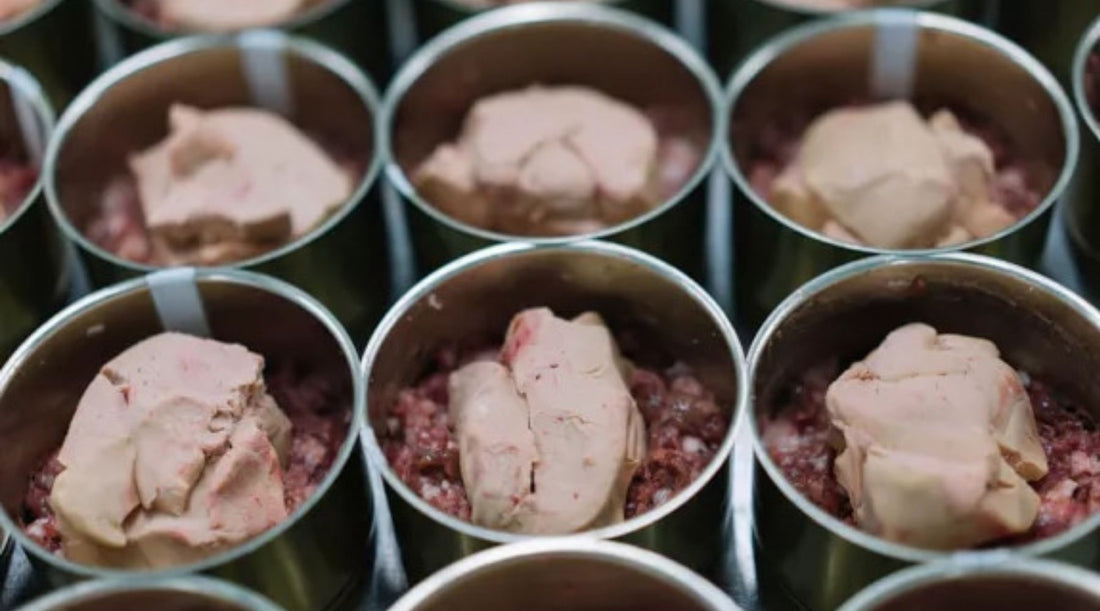 🐖 Tout savoir sur les rillettes, terrines et pâtés artisanaux
