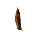 Saucisson de Savoie Fumé - Les Jacquemardes