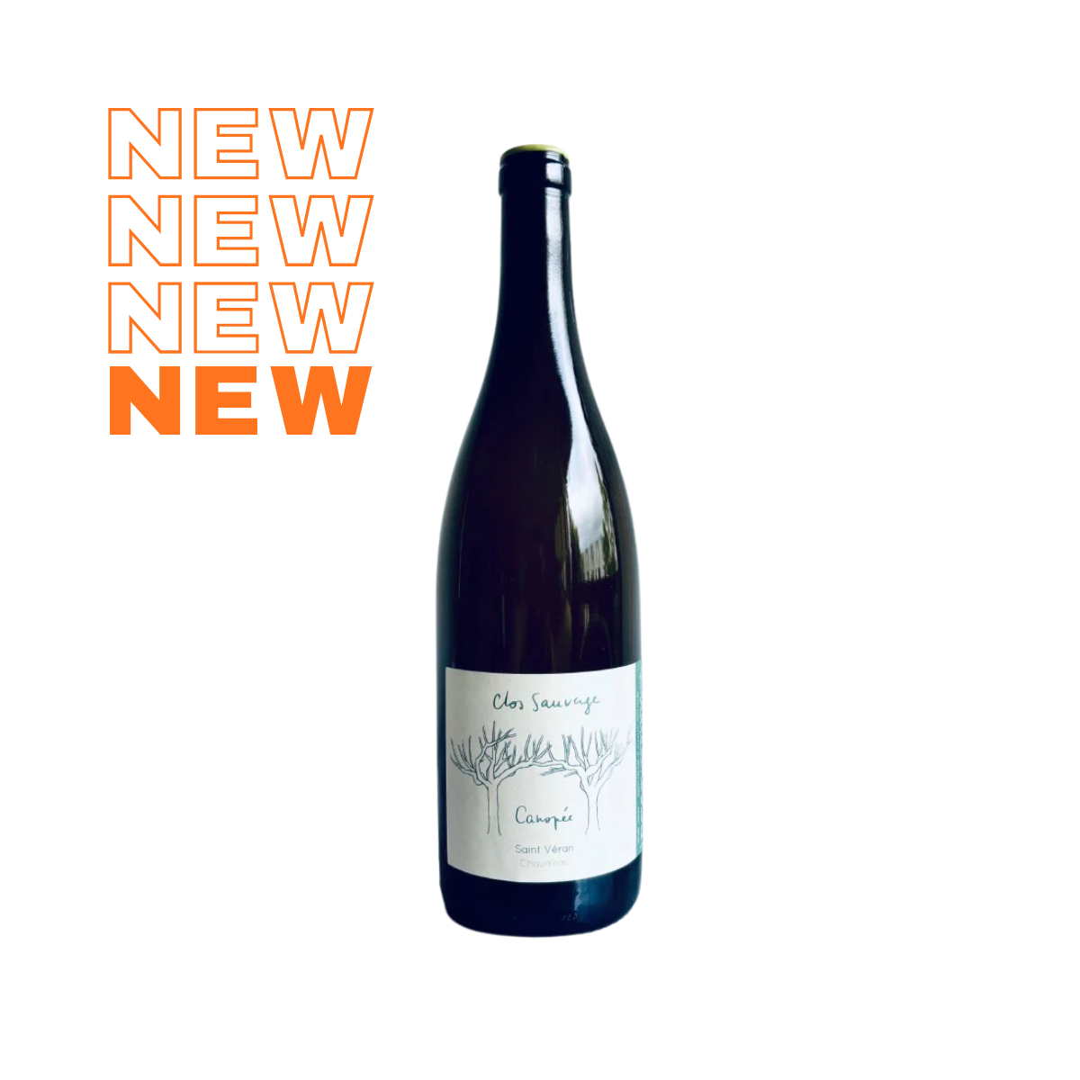 Saint-Véran "Canopée" 2024 - Domaine du Clos Sauvage
